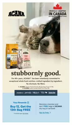 Petvalu flyer