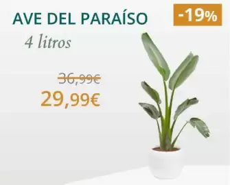 Catálogo Verdecora Página 1: 4 litros €29,99