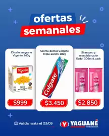 Catálogo Yaguane Supermercados Página 4
