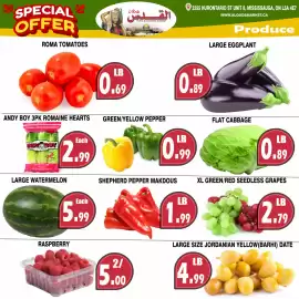 Al-Quds Supermarket flyer week 35 Page 3: Large watermelon €5,99, Andy boy romaine hearts €2,99