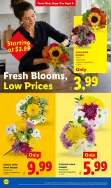 Lidl weekly ad week 36 Page 24: Farmer's choice mixed bouquet €9,99, Field Picks Mixed Bouquet €5,99