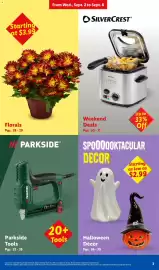 Lidl weekly ad week 36 Page 3: Halloween Decor €2,99, Florals €3,99