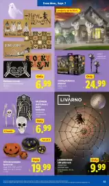 Lidl weekly ad week 36 Page 33: Led metal pumpkin lantern set €19,99, Livarno home led spider web €9,99