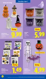 Lidl weekly ad week 36 Page 34: Halloween window gel clings €1,49, Halloween yard decoration €4,99