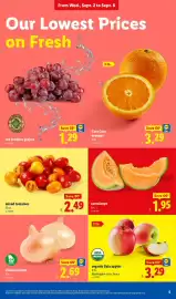 Lidl weekly ad week 36 Page 5: Lidl Plus Vidalia onions €2,69, Cantaloupe €1,95