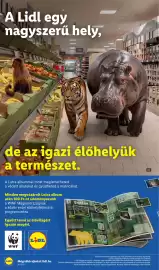 Lidl akciós újság hét 36 Oldal 18