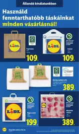 Lidl akciós újság hét 36 Oldal 20: Szatyor €109,00, Mélyhűtő szatyor €389,00