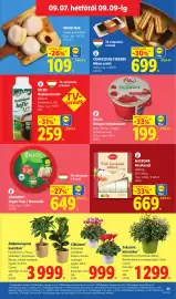 Lidl akciós újság hét 36 Oldal 55: PILOS Kaukázusi kefir €259,00, Töltött fánk €109,00