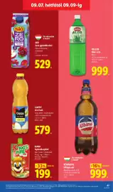 Lidl akciós újság hét 36 Oldal 67: Kubu Gyümölcspüré €199,00, CAPPY Ice Fruit €579,00