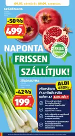 ALDI akciós újság hét 36 Oldal 41: KUTYAELEDEL €479,00