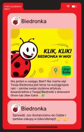 Biedronka gazetka Strona 21