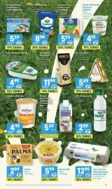 Delikatesy Centrum gazetka tydzień 36 Strona 11: Jaja z chowu ekologicznego Kurza Paczka €12,99, Ser Arla Apetina €8,99