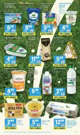 Delikatesy Centrum gazetka tydzień 36 Strona 11: Jaja z chowu ekologicznego Kurza Paczka €12,99, Ser Arla Apetina €8,99