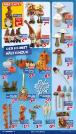 CENTERSHOP Prospekt woche 36 Seite 10