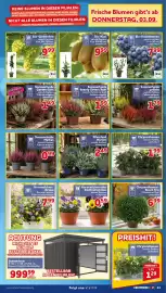CENTERSHOP Prospekt woche 36 Seite 11