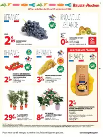 Catalogue Auchan page 51: CULTIVONS LE BON Tomates cerises rondes en grappe €2,69, ANTHURIUM €8,99