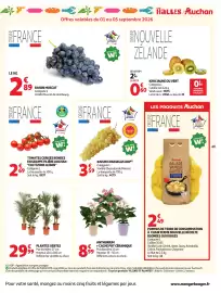 Catalogue Auchan page 51: CULTIVONS LE BON Tomates cerises rondes en grappe €2,69, ANTHURIUM €8,99