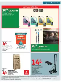 Catalogue Auchan page 63: AXAL Pastilles de sel €4,99, CHARBON DE BOIS €4,99
