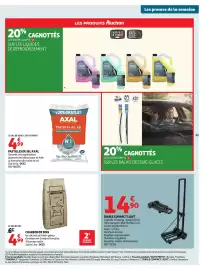 Catalogue Auchan page 63: AXAL Pastilles de sel €4,99, CHARBON DE BOIS €4,99