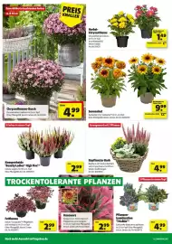 Hagebau Prospekt woche 35 Seite 14