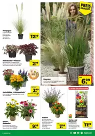 Hagebau Prospekt woche 35 Seite 15