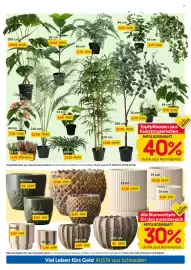 Rusta Prospekt woche 35 Seite 7