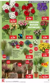 Kaufland Prospekt woche 36 Seite 23