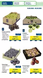 METRO Prospekt woche 36 Seite 8