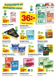 City Gross reklamblad vecka 36 Sida 7: Lingon €29,95, Mango €39,00