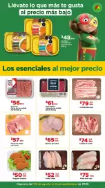 Folleto Bodega Aurrerá semana 35 Página 2