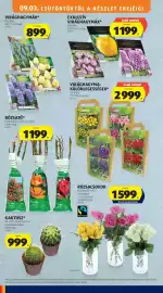 ALDI akciós újság hét 35 Oldal 34