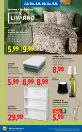 Lidl Flugblatt woche 36 Seite 24
