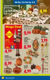 Lidl Flugblatt woche 36 Seite 26