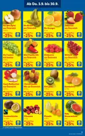Lidl Flugblatt woche 36 Seite 3