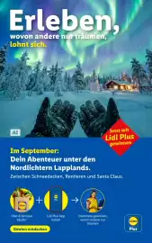 Lidl Flugblatt woche 36 Seite 4