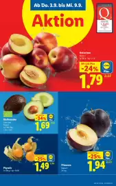 Lidl Flugblatt woche 36 Seite 5
