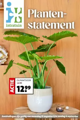 Intratuin (geldig t/m 6-09)
