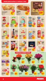 Penny Market leták týden 36 Strana 3: Rustikální bramborový chléb €26,90, Pizza trojhránek €8,90