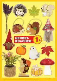 Marktkauf Prospekt woche 36 Seite 40