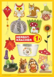Marktkauf Prospekt woche 36 Seite 41