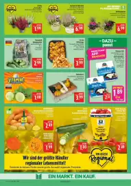 Marktkauf Prospekt woche 36 Seite 7