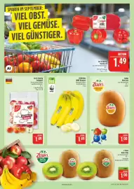 Marktkauf Prospekt woche 36 Seite 8