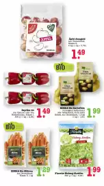 Scheck-in-Center Prospekt woche 36 Seite 19