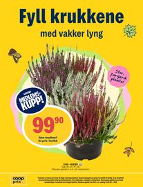 Coop Prix kundeavis uke 36 Side 16: LYNG - QUATRO, Medlemspris