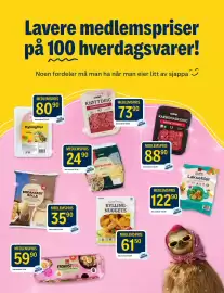 Coop Prix kundeavis uke 36 Side 14: Laksefilet €145,90, KYLLING-NUGGETS €75,90