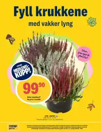 Coop Prix kundeavis uke 36 Side 16: LYNG - QUATRO, Medlemspris