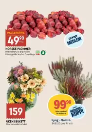 Coop Mega kundeavis uke 36 Side 10: Lyng - Quatro, Medlemspris, NORSKE PLOMMER, Medlemspris