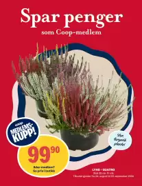 Coop Marked kundeavis uke 36 Side 10: LYNG - QUATRO, Medlemspris
