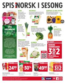 Meny kundeavis Side 6: Grønn & Frisk, Søt spisspaprika €24,90