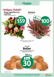 Joker kundeavis Side 6: Røsslyng €100,00, Roser, Hyperikum og Lepidium €159,00